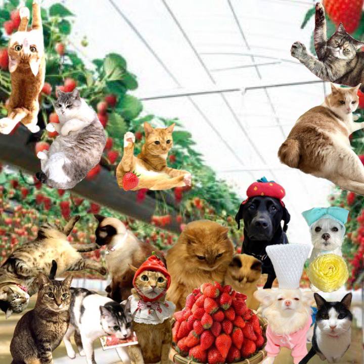 0df6eb0e c289 443e 95c3 dc442effbd2b 1647474229689