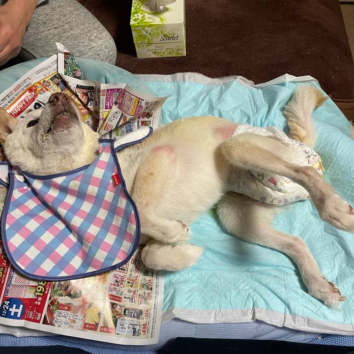 0df6f44c 1e9e 406d b14c a7b252afaa68 1671967721342