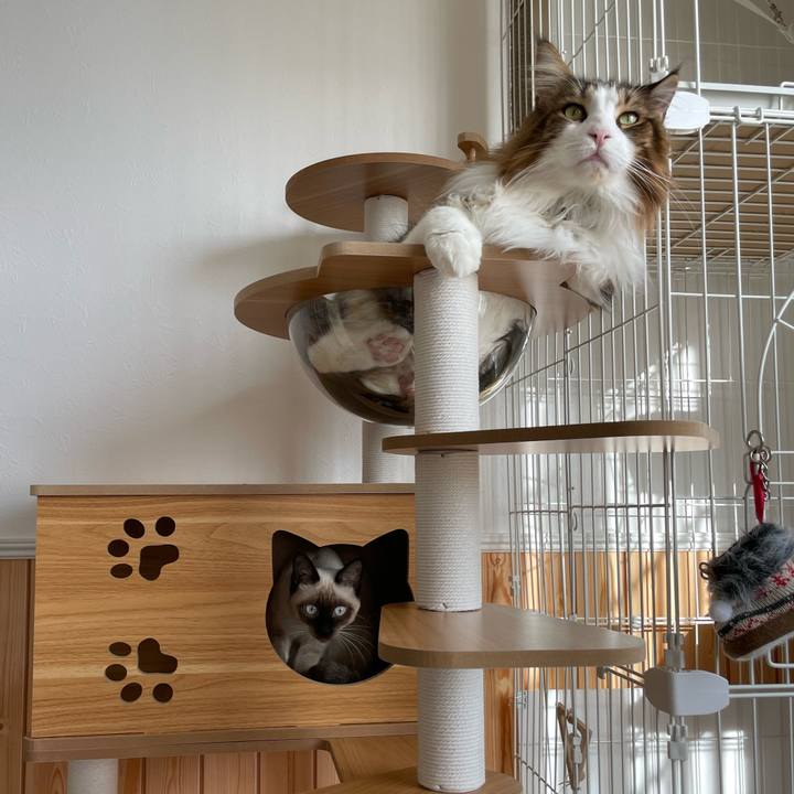 0df78f70 aa25 4f03 a13a a5a69311ad40 1700370462715