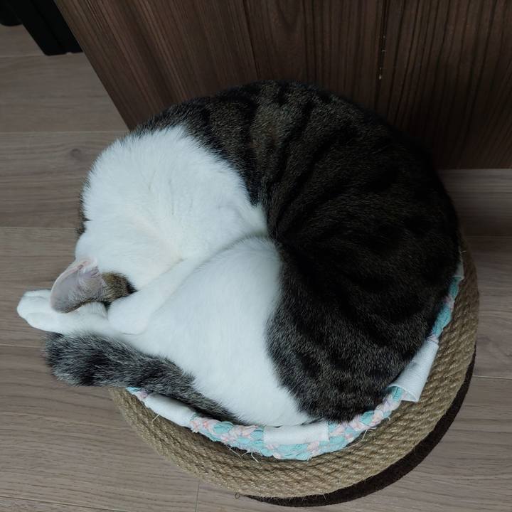 0df798f2 87fd 4395 9900 d2dd6bfa742f 1624829822872