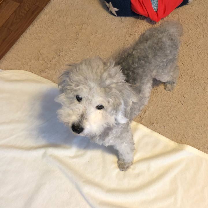 0df79c60 6574 4b69 8ae8 6020a2d2054f 1626222019413