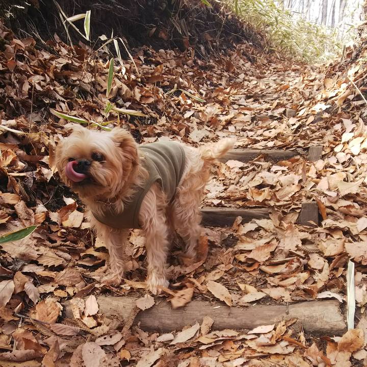 0df7bdcf bc3f 405e a560 478762e769b7 1542799602306