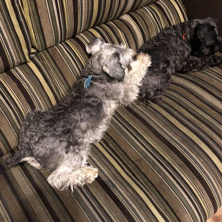 0df7ce47 bd9c 4219 8d5a 4d87f6fb0bc6 1528284158697