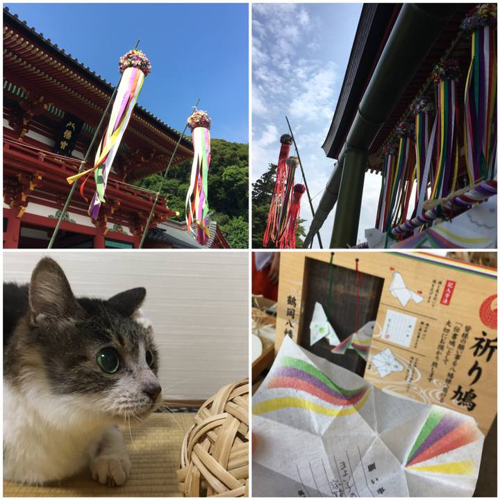 0df7ed7c 0965 4543 8d17 30c56ab62603 1529830663839