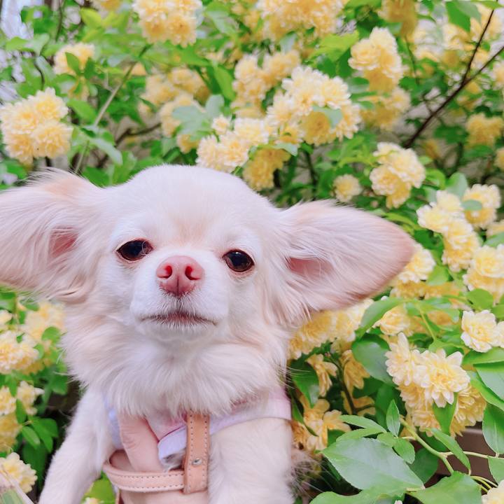 0df8073f 9f01 472c b1b6 55195a431bc2 1681806103761