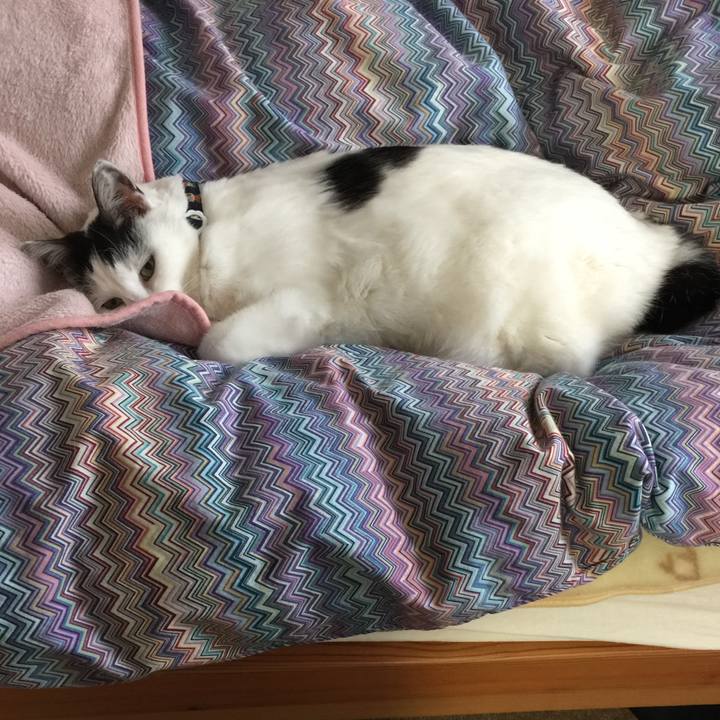 0df824af 36e9 41d0 a43c fe928f8a8818 1515367620316