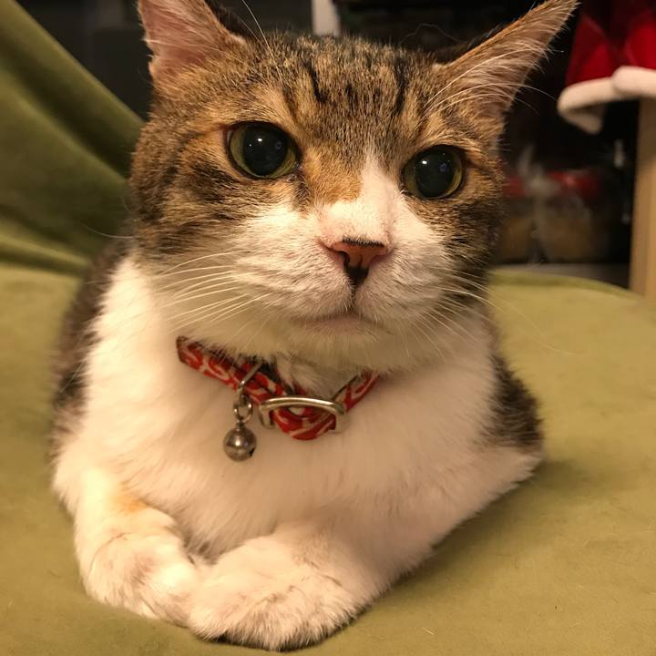 0df8484f f79e 4867 8597 5aef9acab72f 1568220015419