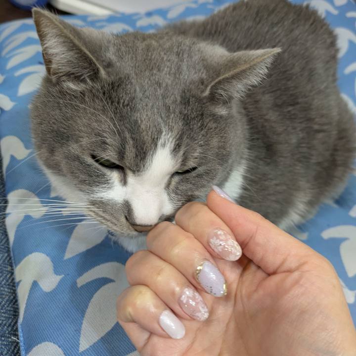 0df86c63 2675 4ae3 89c4 b7b61590ccbf 1772722955944