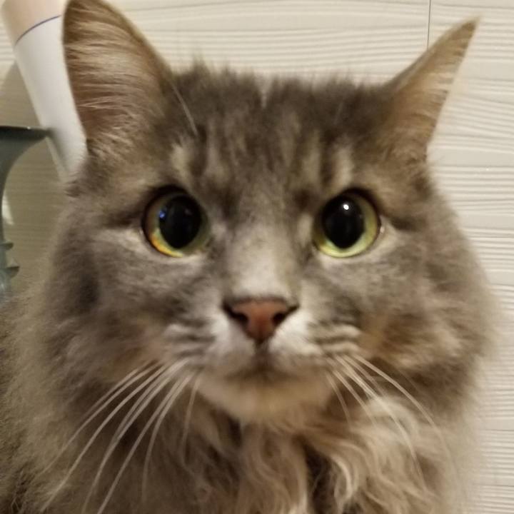 0df87551 c78f 48cf a304 e61be067ccfa 1543241034796