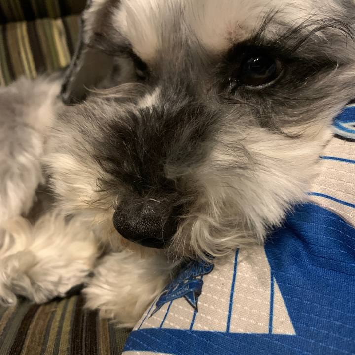 0df88976 594d 4030 9414 a601c38349e8 1618641270408