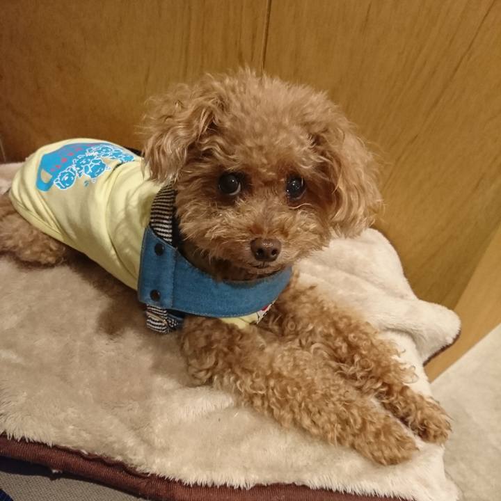 0df892ea 2842 45b3 8162 7dd6e241de80 1561869645558