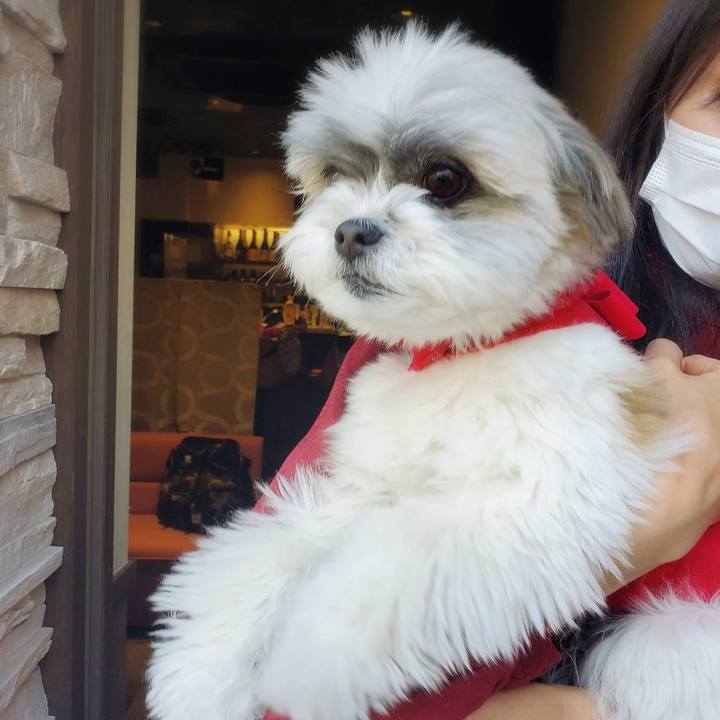 0df8aa98 89d5 4f09 9f37 4949673a462c 1618825035491