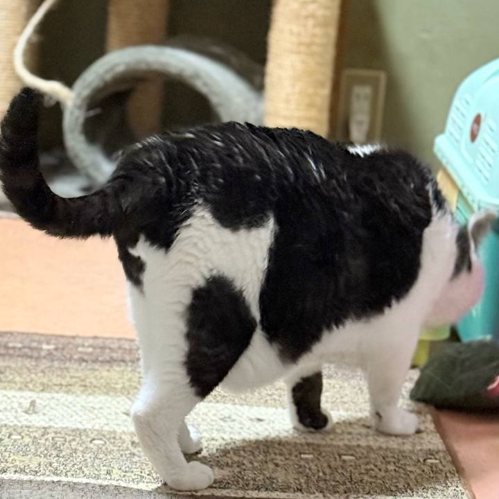 0df8df32 d134 4187 93f8 cf829f62588c 1750647248331