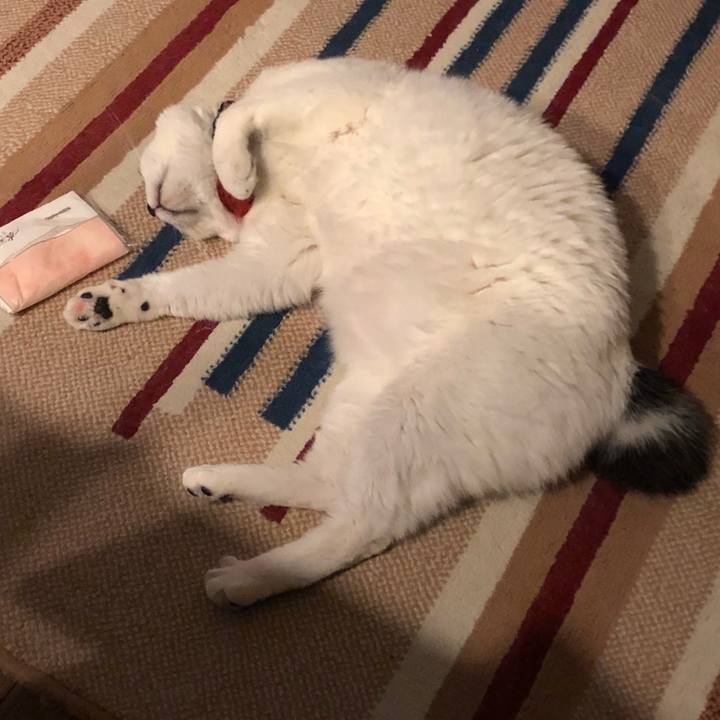 0df8ff29 80ac 43af 9f2e 1d20965bba5d 1558017284902