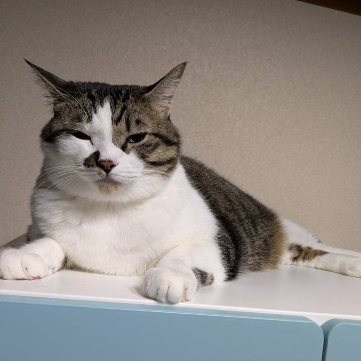 0df920ee 0b5b 4851 95cf 56bcdba5f72a 1730991037627