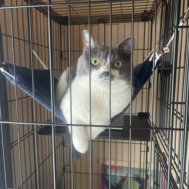 0df92107 c0ff 4a28 b5fa 3f2b84d4f9f0 1725074586945