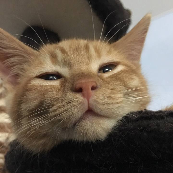 0df94a91 38fb 49c1 9a59 eca4cc557bb9 1511019689399