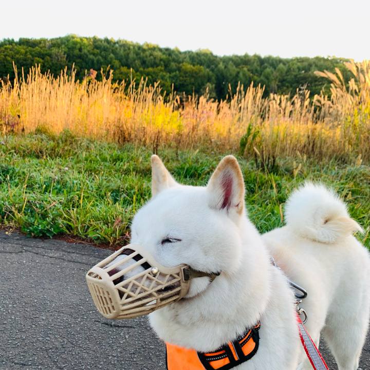 0df94bb0 f9fb 4469 b6ca fa9d45e5b207 1633817295464