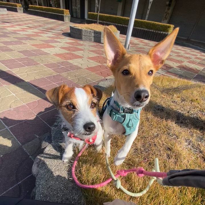 0df98fb5 a96d 4a81 90e4 872053d49101 1764402575932