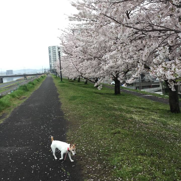 0df9d9d2 32b9 4852 a86e ae6da7dbe94a 1521939475329