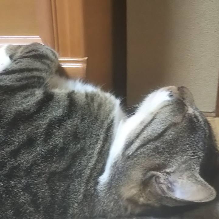 0df9dd56 3f0b 42bc bba8 3ee02056b1c0 1602319608618