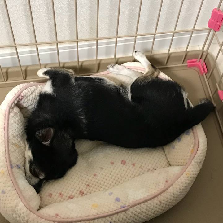 0df9fe83 b09e 4965 b1a3 3783c9d33f0f 1534395244680