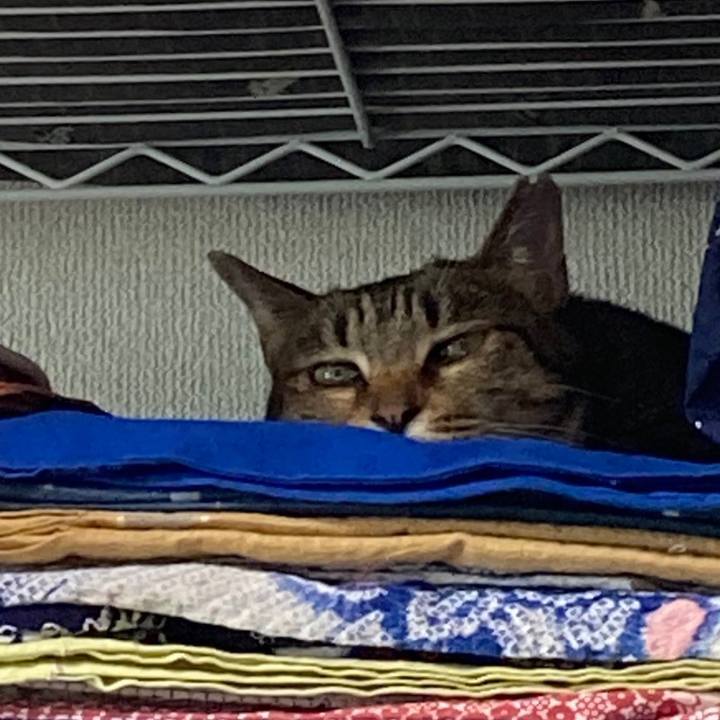 0dfa17b4 6eb3 41f3 8986 4e559973e19d 1686487665552