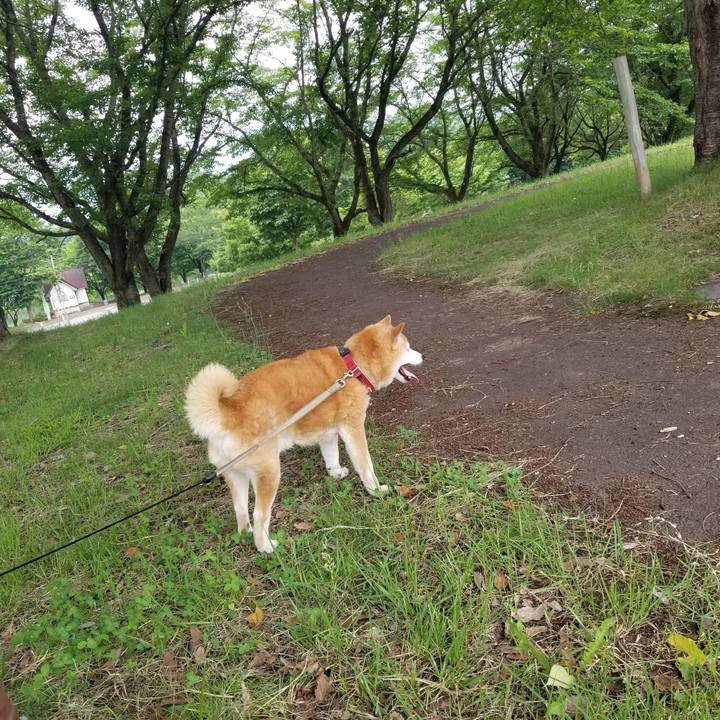 0dfa2c7e e194 408b b693 2215ee5395e2 1750580157628