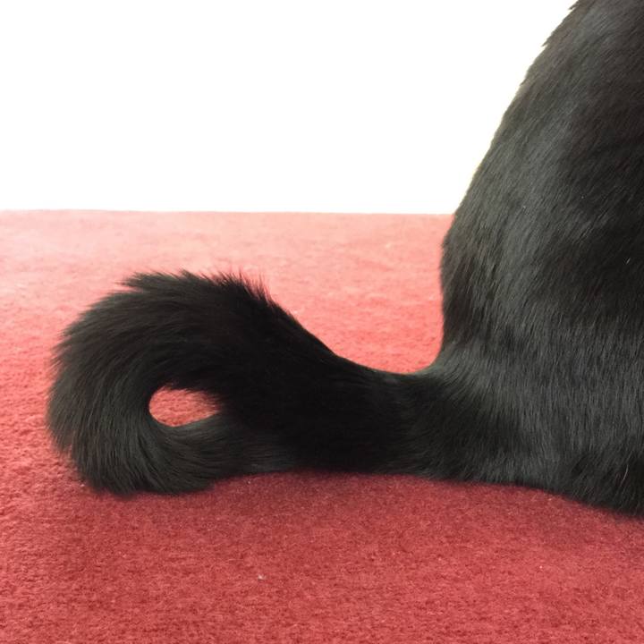 0dfa4c7a ba5b 44e4 9040 2585948c1875 1515286330234