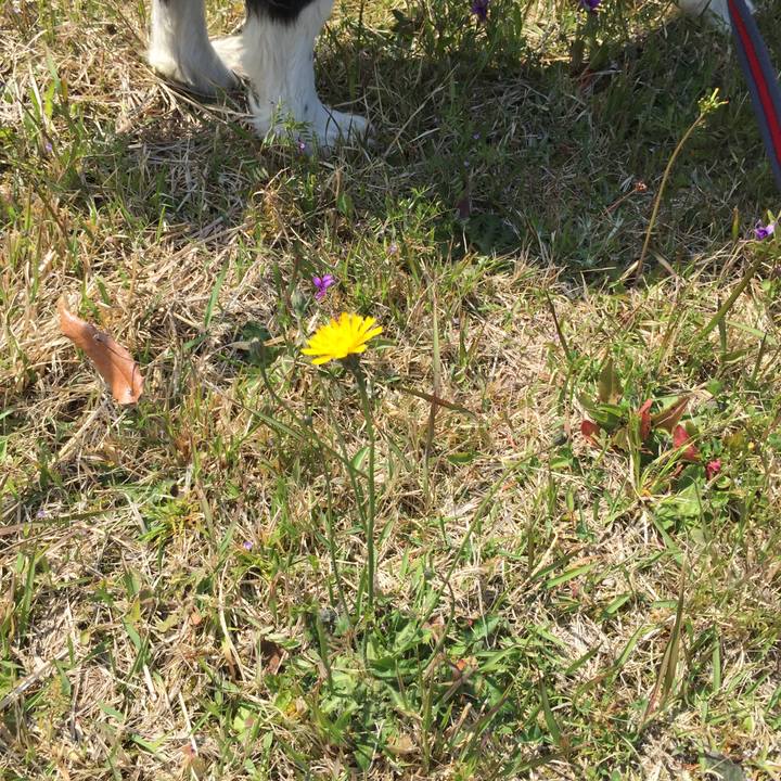 0dfa514c e8a5 4b04 b676 073ff2cf6492 1554712670928