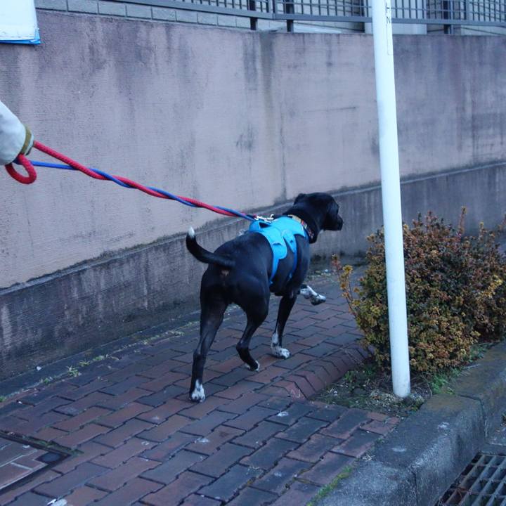 0dfa5da7 2e47 4056 8d93 5dad7a7375ca 1610150393253