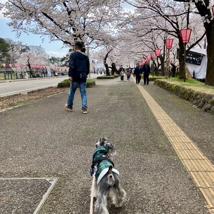 0dfa8201 e7a9 4059 902d 660a208f6016 1745131294536