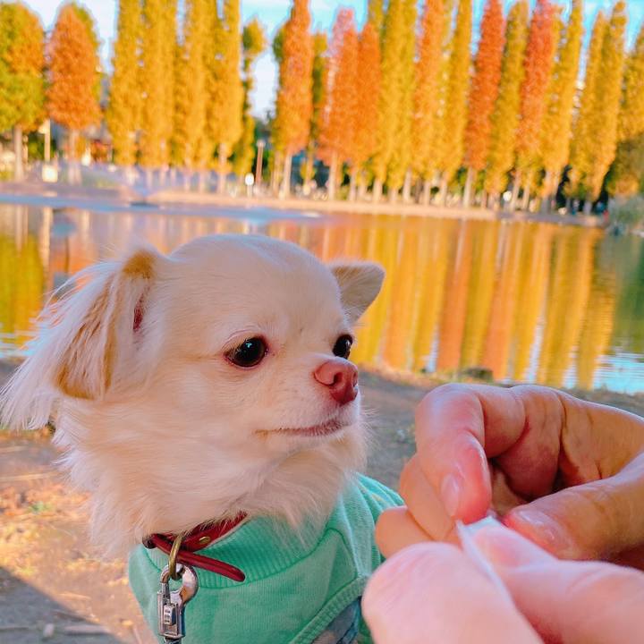 0dfab1a6 9f33 4cc1 8d61 0522754d4fe3 1636970301367