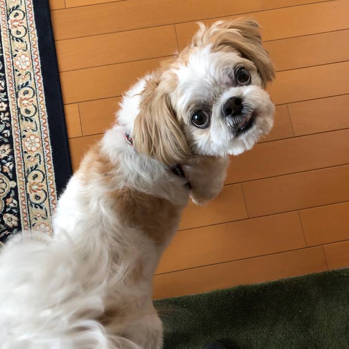 0dfab222 3c31 4123 a64b 35972792f779 1565579853313