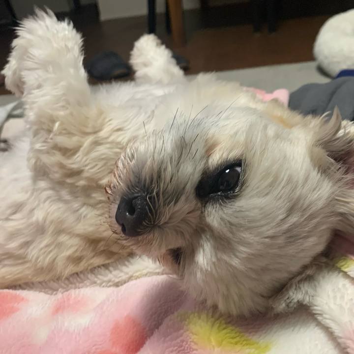 0dfabd4d ece7 4db3 8b25 abde48a7330a 1678014292790