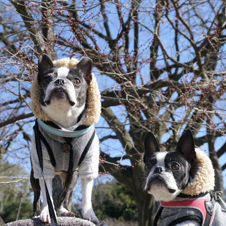 0dfabe6d 56b4 4c31 8270 4e5ca2ece2c3 1517728959626