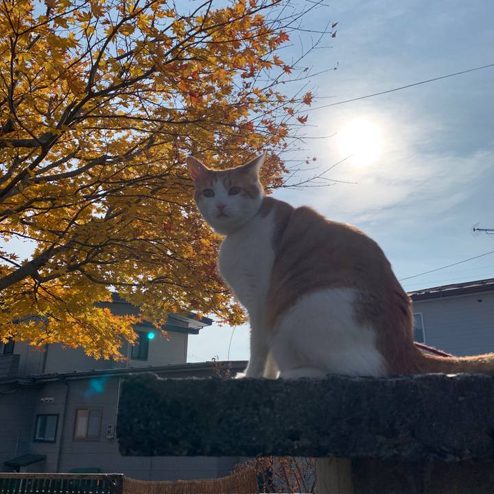 0dfaf420 9ecf 4f5e 869d 9b3f77cf180d 1605749140526