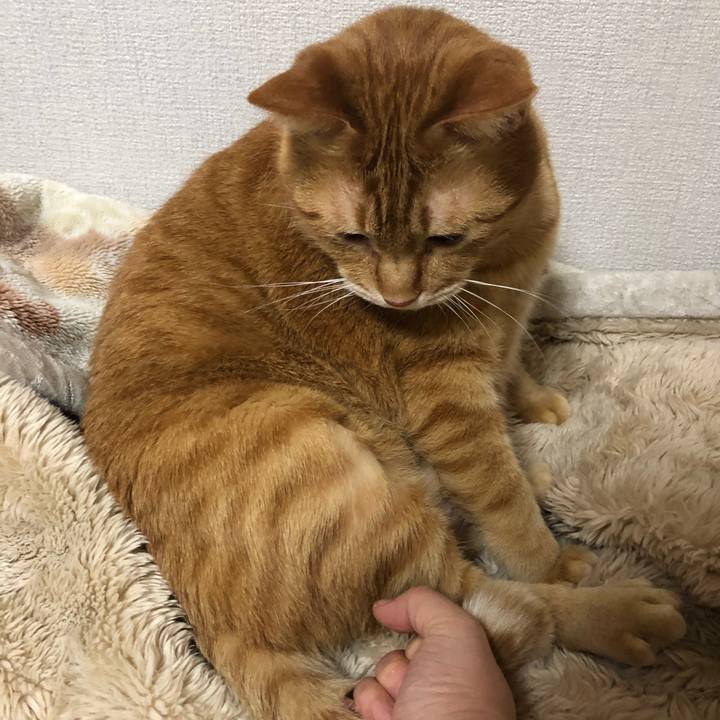 0dfafae5 6398 48e1 966d b1e09aba6656 1644655590248