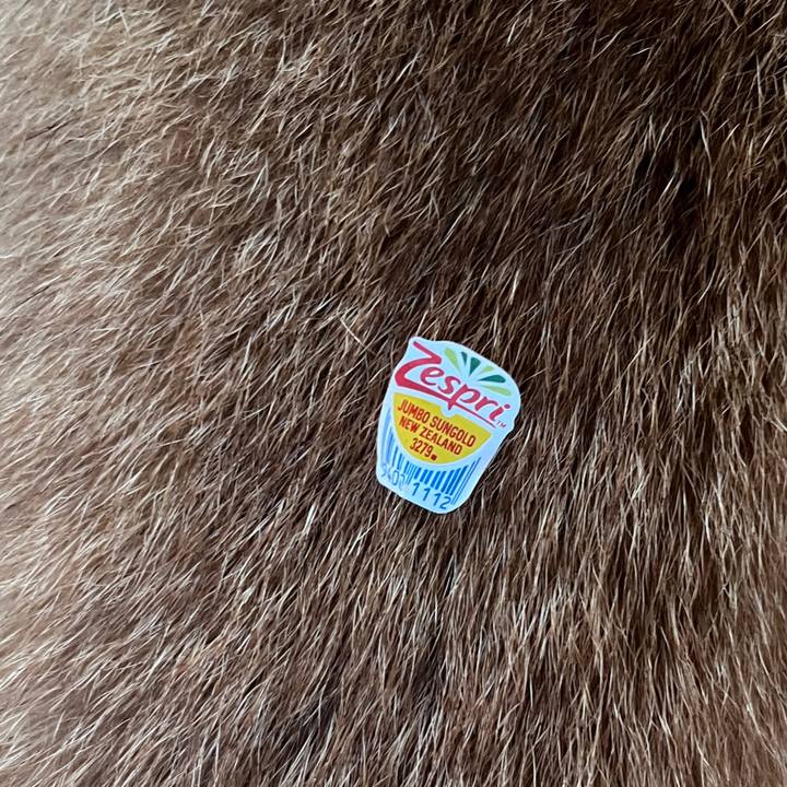 0dfb0503 1fc0 454e bb5e d043ebde056b 1721695255947