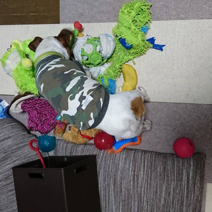 0dfb05b0 d8f7 48d7 8b11 2f2282efd8d8 1592747424275