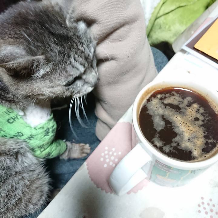 0dfb098e 33b8 4f32 a4e3 ddc24fcb6d44 1587584063207