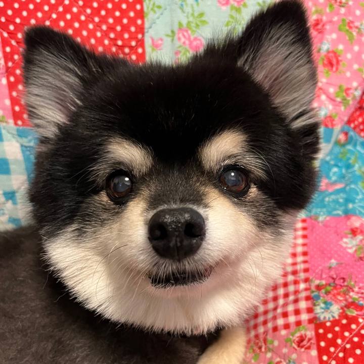 0dfb28a0 d789 481d 92d3 dde179704d5b 1665387144251