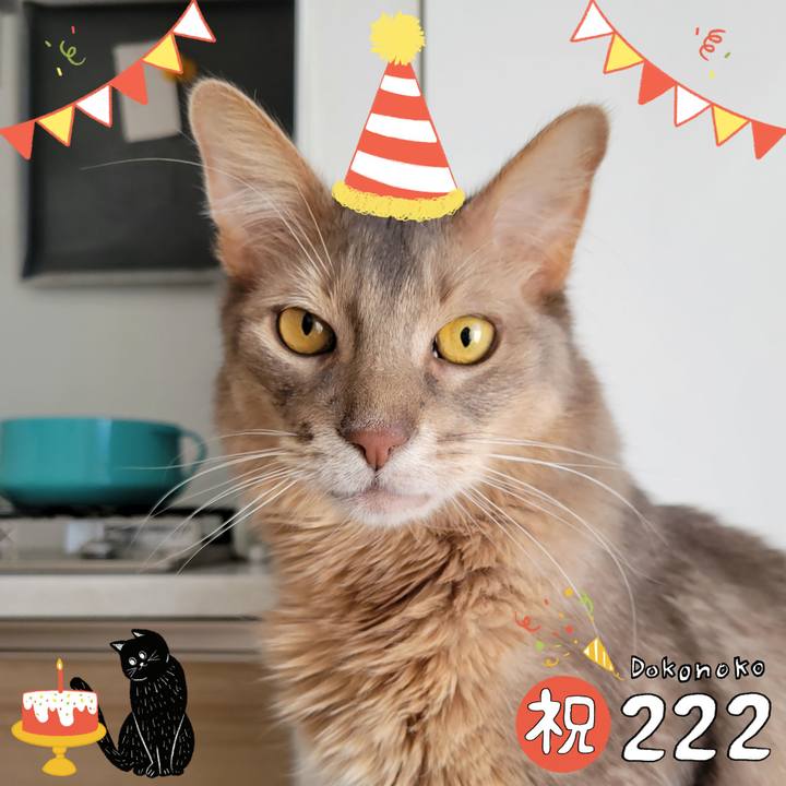 0dfb8a26 029d 4d1c b1bb 3db985de43ad 1645494225749