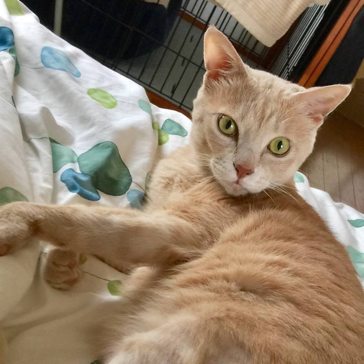 0dfb9cac a25e 427e 8bd6 053f20f5205d 1593963776780