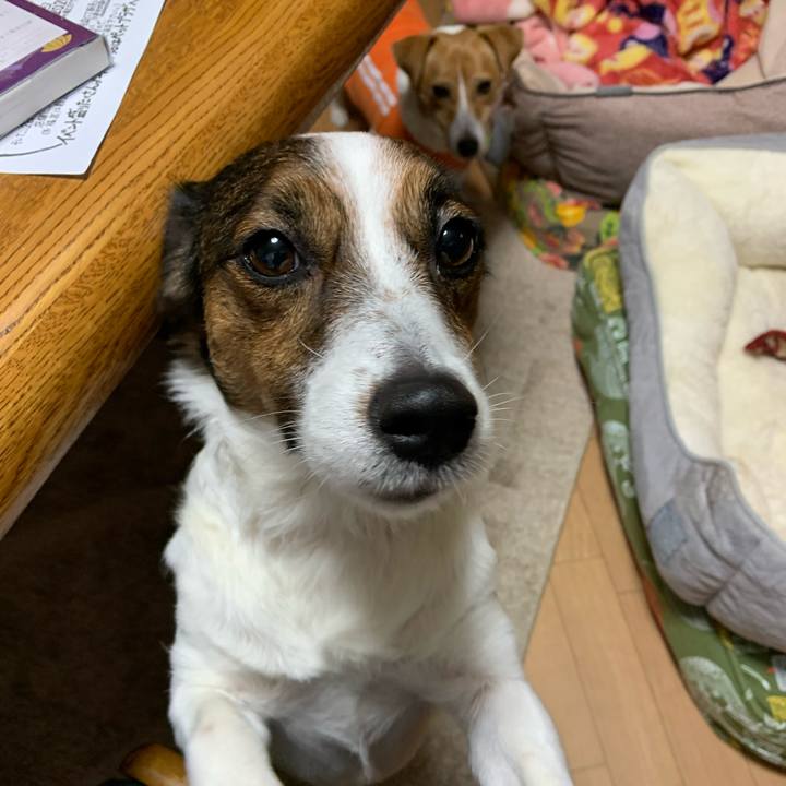 0dfc3796 cf57 4d78 8a06 e38469d4be0a 1577675457121