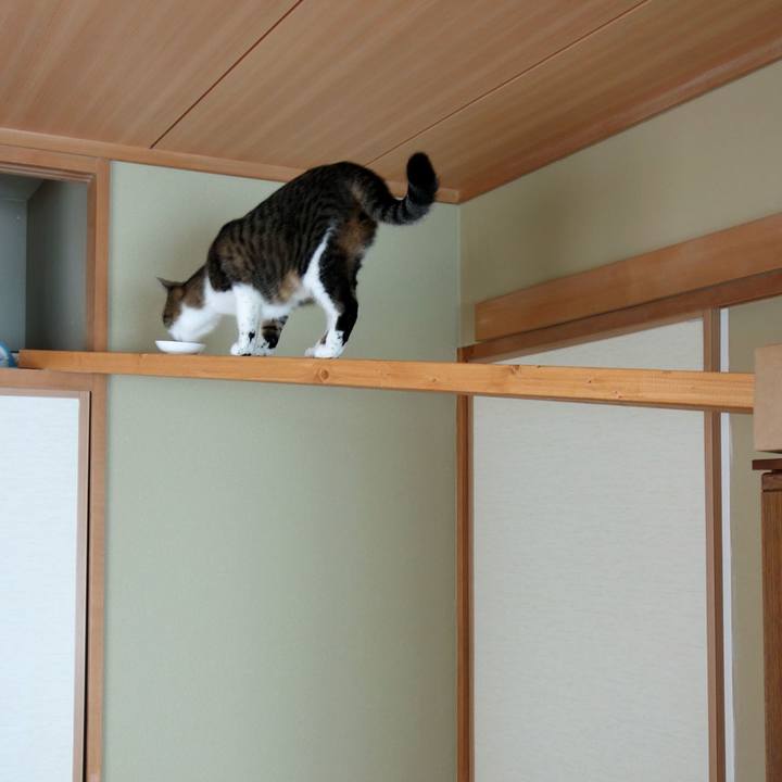 0dfc3b37 12c7 48ef bf9a abbaf4dbdb17 1757661153008