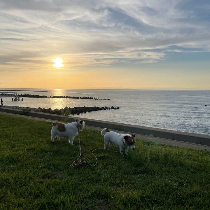 0dfc6a9d f8b9 44f2 8626 0fcab799680f 1757322306894