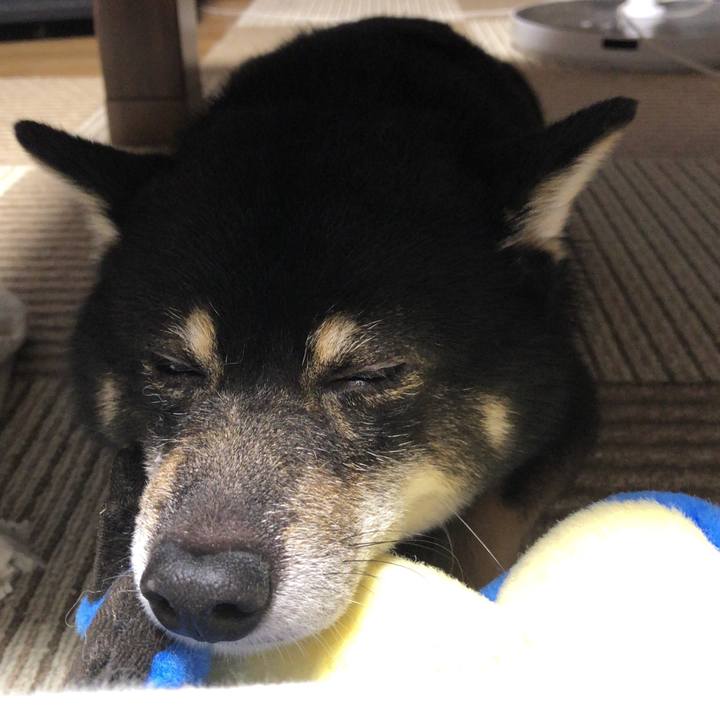 0dfc969a 9111 4602 ba24 d3dd40ae0c35 1536024557079