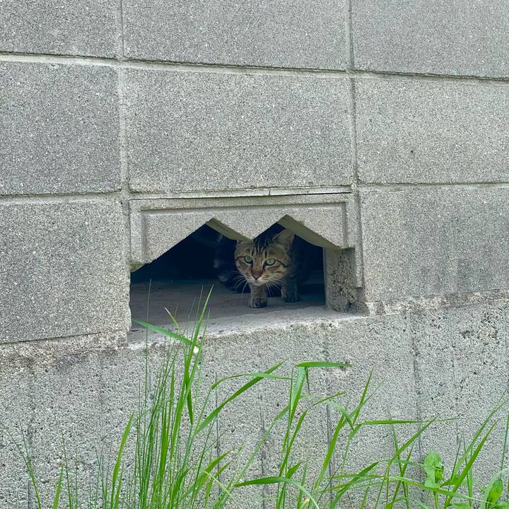 0dfc9858 3de8 487d a2a5 ad55c3914e65 1624357118283