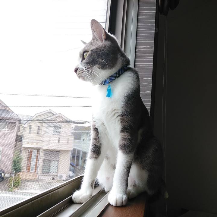 0dfcaa59 01f7 4ba8 902b cbf4b6bbfcd4 1595549483578